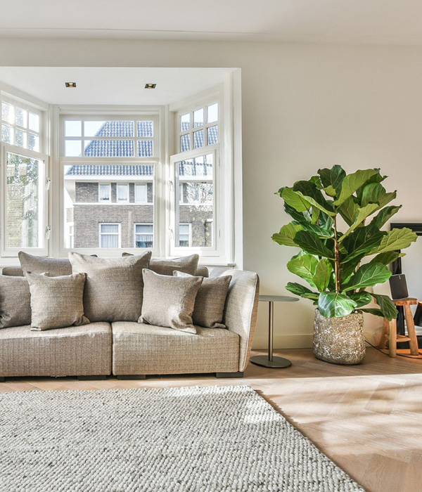 Bestecofriendlycleaning